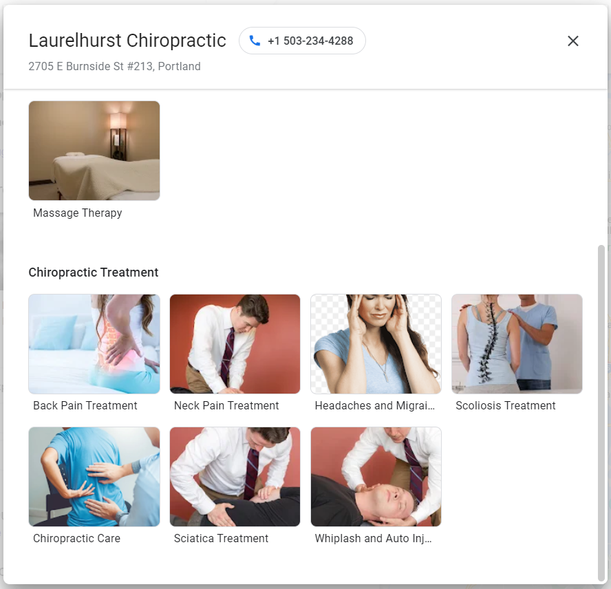 chiropractor services page google my business
