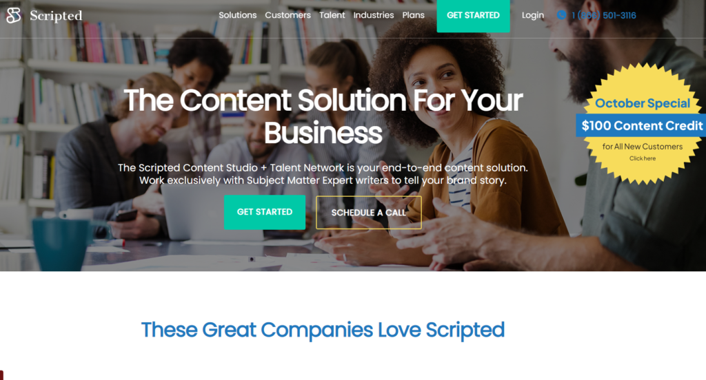 Scripted blog writers network